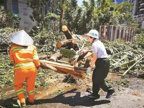 山竹爆料深圳视频,深圳幕后真相大曝光  第1张